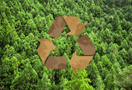 FSC & EUDR & PEFC Vejledning til indkøb af engangsmateriel